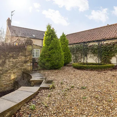 Wisteria In The Heart Of